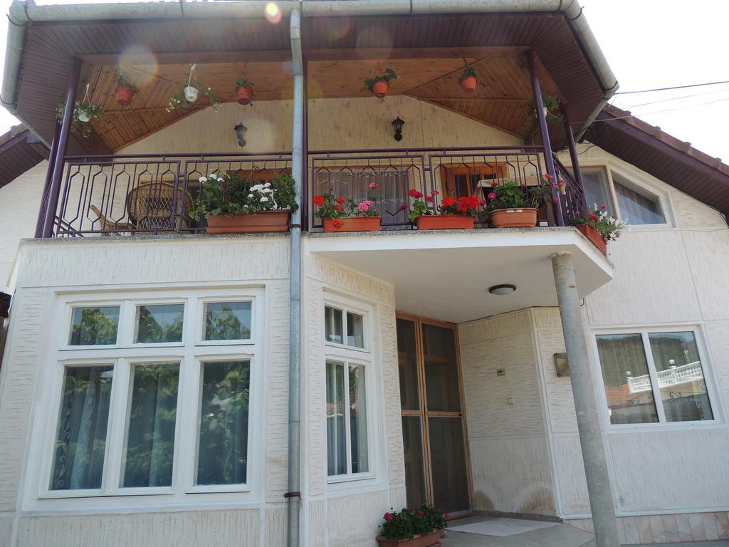 Casa Debora Hotel Haţeg Exterior foto